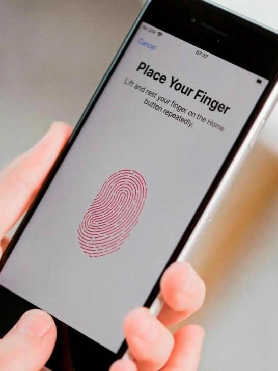 Does Iphone 11 Have Fingerprint