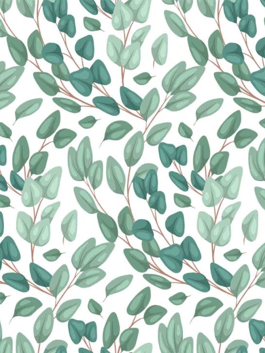 Plant Iphone Wallpaper